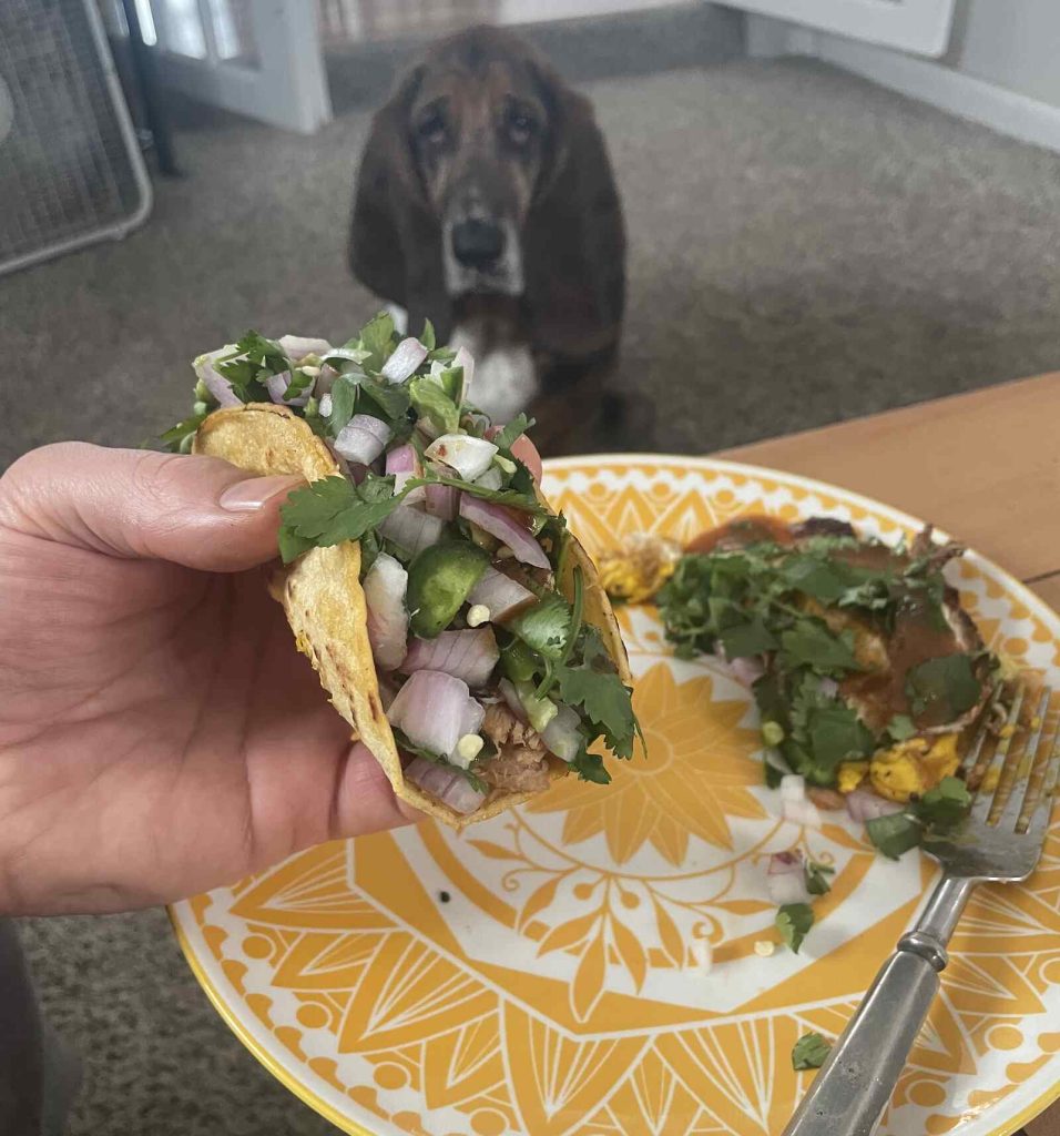 Authentic Pork Tacos