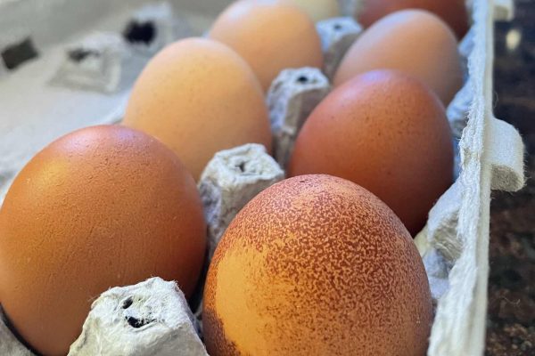 Farm Fresh Eggs