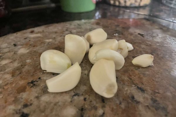 Garlic